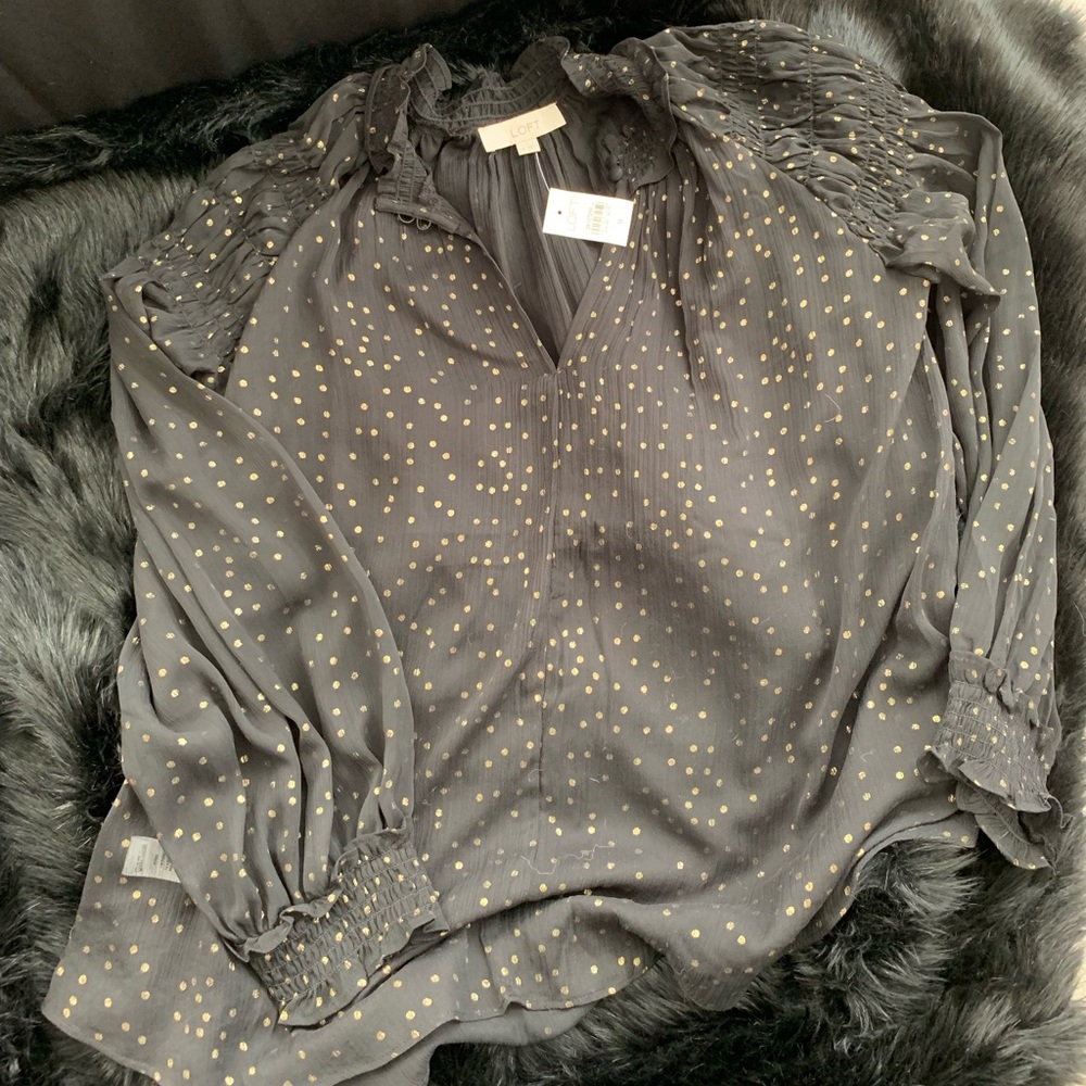 Ann TAYLOR Loft sheer blouse